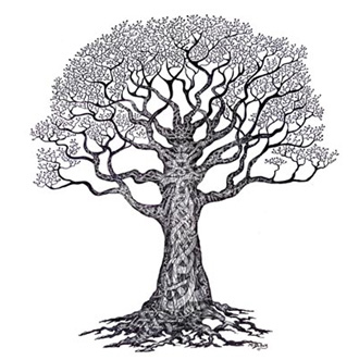 Mergener Oak Tree of Life